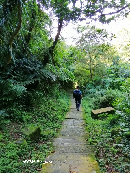 【新北土城】山頂好視野。 No18小百岳天上山 430M