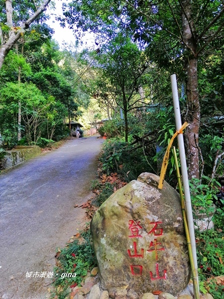 IMG_20191116_082931.jpg IMG_20191116_082931.jpg