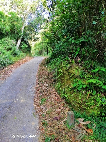 IMG_20191116_083528.jpg IMG_20191116_083528.jpg