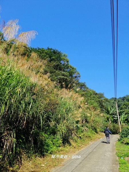 IMG_20191116_084017.jpg IMG_20191116_084017.jpg