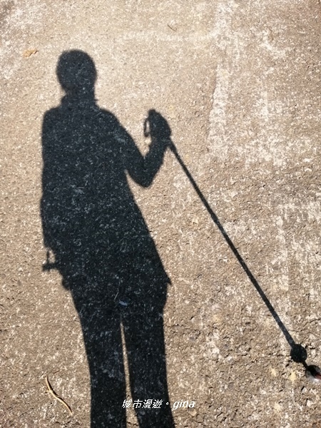 IMG_20191116_084025.jpg IMG_20191116_084025.jpg