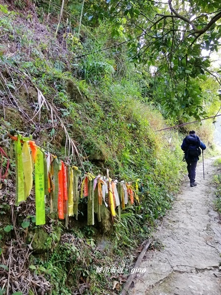 【新竹關西】山頂熱鬧歡笑聲。 No25小百岳石牛山 671M