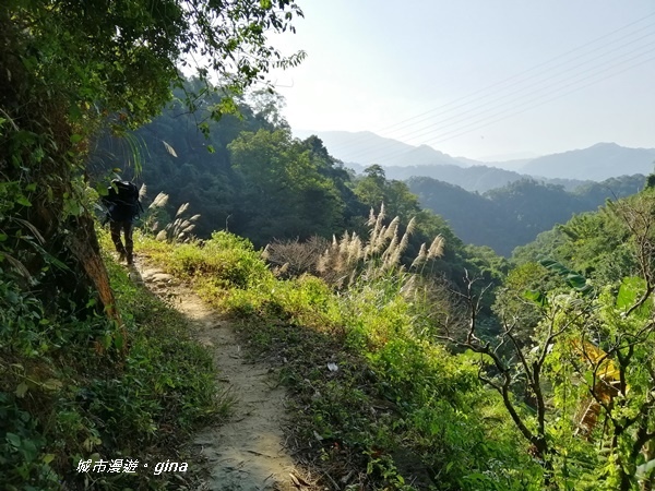 【新竹關西】山頂熱鬧歡笑聲。 No25小百岳石牛山 671M