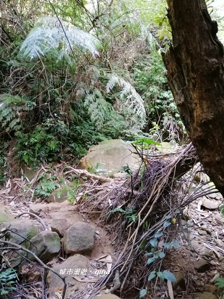 IMG_20191116_085413.jpg IMG_20191116_085413.jpg