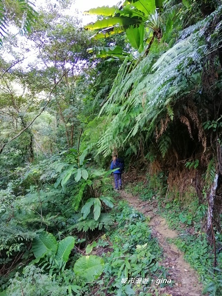 IMG_20191116_084851.jpg IMG_20191116_084851.jpg