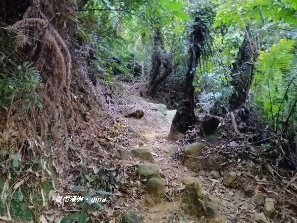 【新竹關西】山頂熱鬧歡笑聲。 No25小百岳石牛山 671M