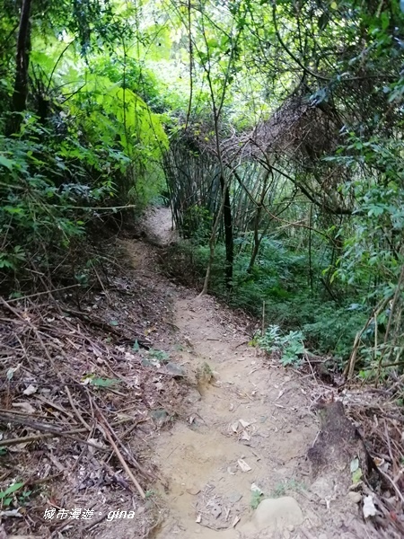 IMG_20191116_091052.jpg IMG_20191116_091052.jpg