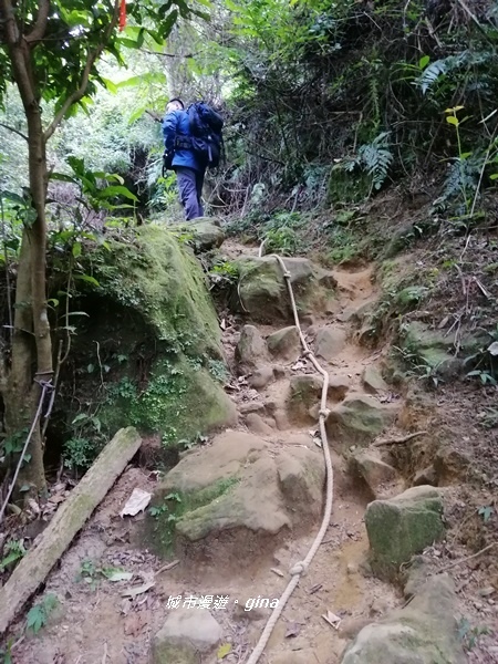 【新竹關西】山頂熱鬧歡笑聲。 No25小百岳石牛山 671M