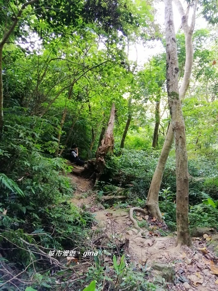 IMG_20191116_092114.jpg IMG_20191116_092114.jpg