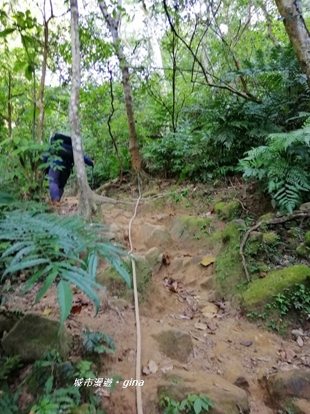 【新竹關西】山頂熱鬧歡笑聲。 No25小百岳石牛山 671M