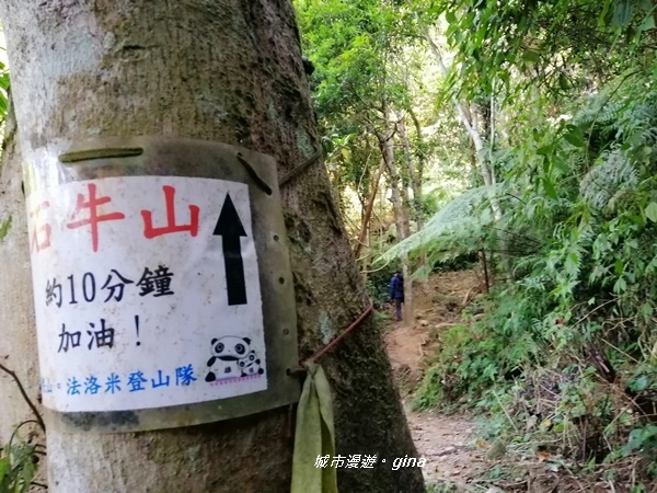 IMG_20191116_092821.jpg IMG_20191116_092821.jpg