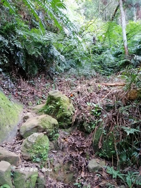 IMG_20191116_093011.jpg IMG_20191116_093011.jpg