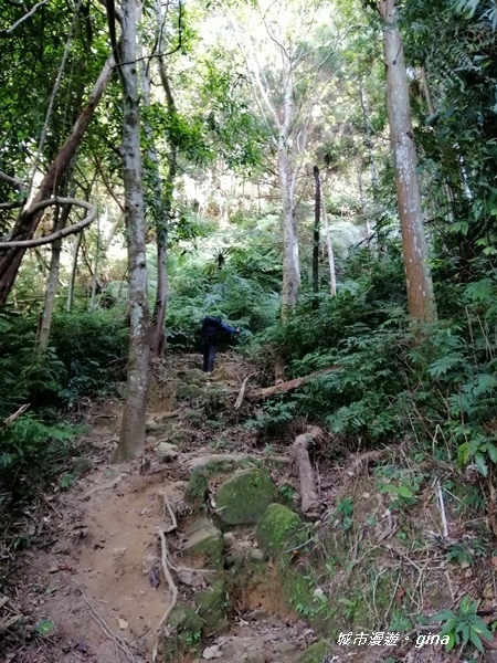 【新竹關西】山頂熱鬧歡笑聲。 No25小百岳石牛山 671M