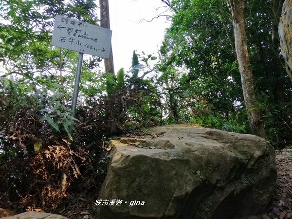 IMG_20191116_093654.jpg IMG_20191116_093654.jpg