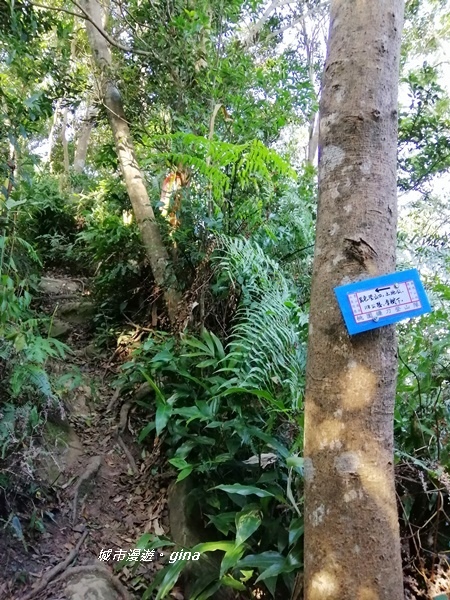 IMG_20191116_093709.jpg IMG_20191116_093709.jpg