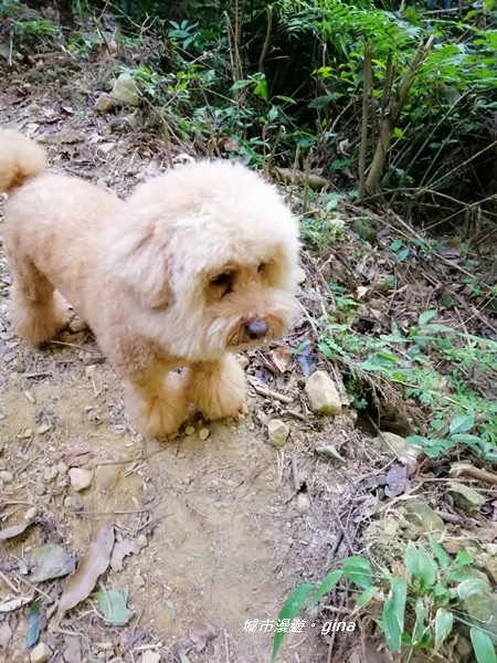 IMG_20191116_093110.jpg IMG_20191116_093110.jpg