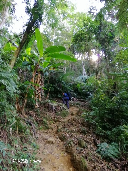 IMG_20191116_093246.jpg IMG_20191116_093246.jpg