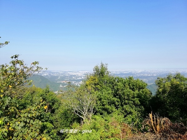 IMG_20191116_094428.jpg IMG_20191116_094428.jpg