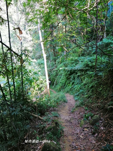 IMG_20191116_110538.jpg IMG_20191116_110538.jpg