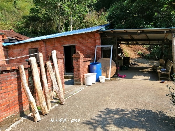 IMG_20191116_111025.jpg IMG_20191116_111025.jpg