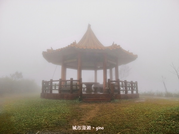 【新北瑞芳】迷霧籠罩山林。 No10小百岳~五分山 757M