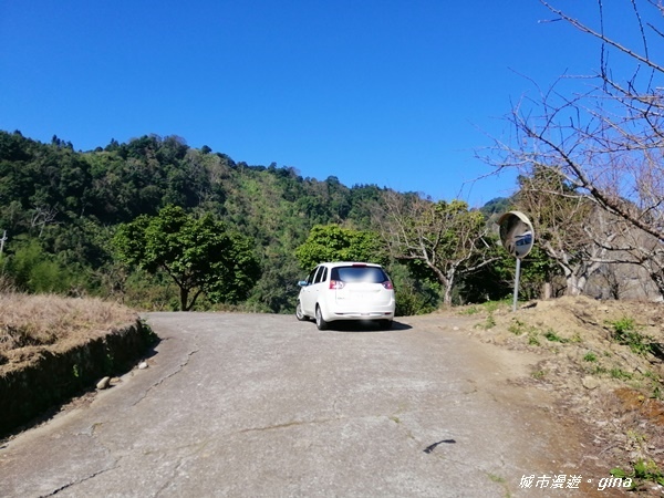 【苗栗大湖】沒有楓的山林依然繽紛。No37小百岳馬那邦山