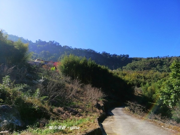 IMG_20200111_105133.jpg IMG_20200111_105133.jpg