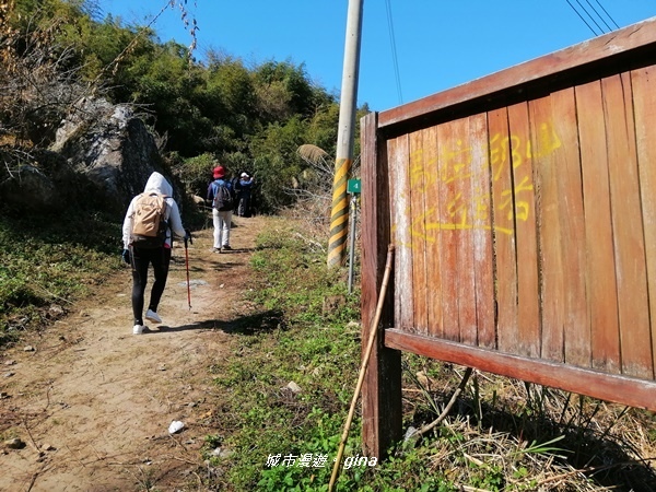 【苗栗大湖】沒有楓的山林依然繽紛。No37小百岳馬那邦山