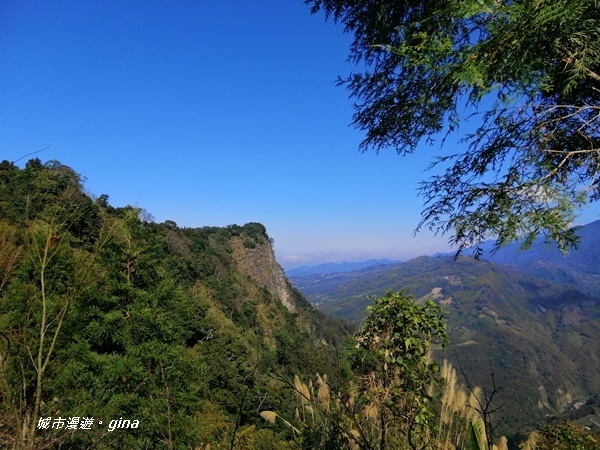 【苗栗大湖】沒有楓的山林依然繽紛。No37小百岳馬那邦山