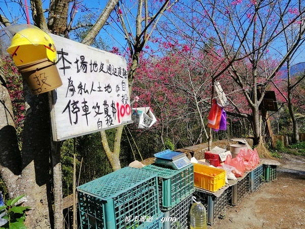 IMG_20200111_110806.jpg IMG_20200111_110806.jpg