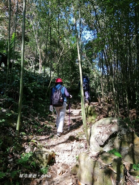 IMG_20200111_112531.jpg IMG_20200111_112531.jpg