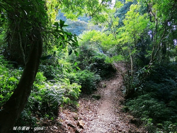 IMG_20200111_121027.jpg IMG_20200111_121027.jpg