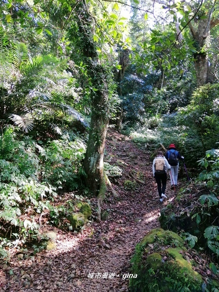 IMG_20200111_115606.jpg IMG_20200111_115606.jpg