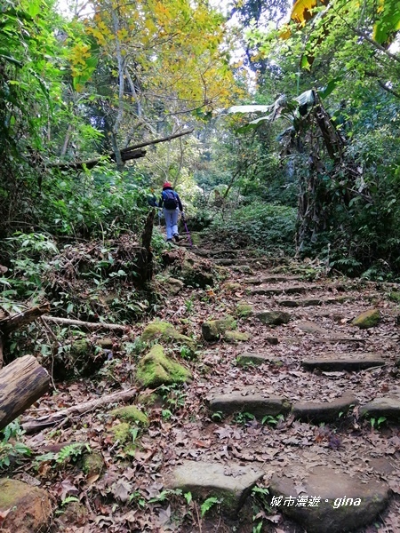 IMG_20200111_121636.jpg IMG_20200111_121636.jpg