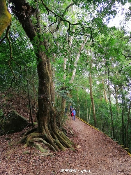 IMG_20200111_124209.jpg IMG_20200111_124209.jpg