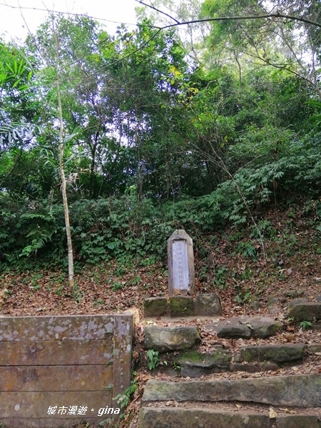 IMG_20200111_122520.jpg IMG_20200111_122520.jpg