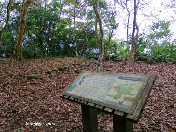 IMG_20200111_123836.jpg IMG_20200111_123836.jpg