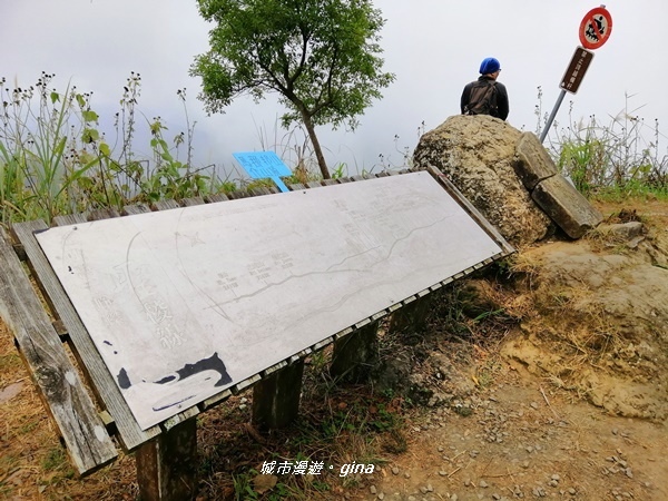 IMG_20200111_131905.jpg IMG_20200111_131905.jpg