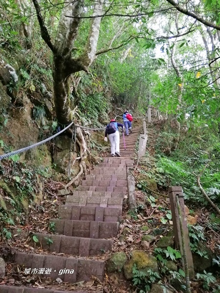 IMG_20200111_131128.jpg IMG_20200111_131128.jpg