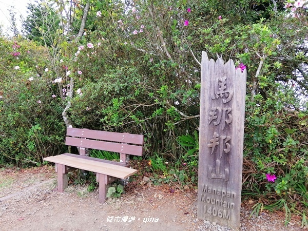 IMG_20200111_132958.jpg IMG_20200111_132958.jpg