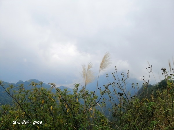 IMG_20200111_142600.jpg IMG_20200111_142600.jpg