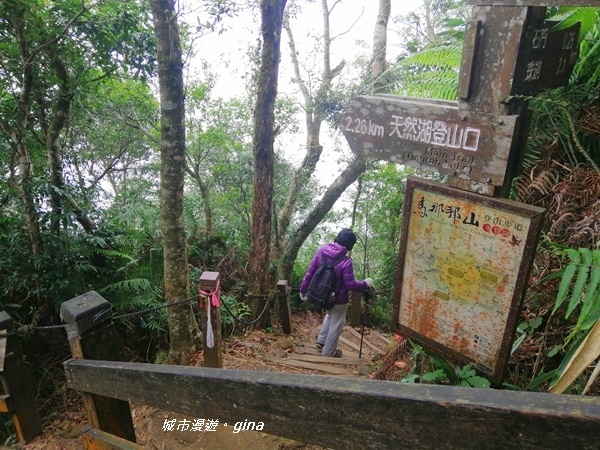 IMG_20200111_143031.jpg IMG_20200111_143031.jpg