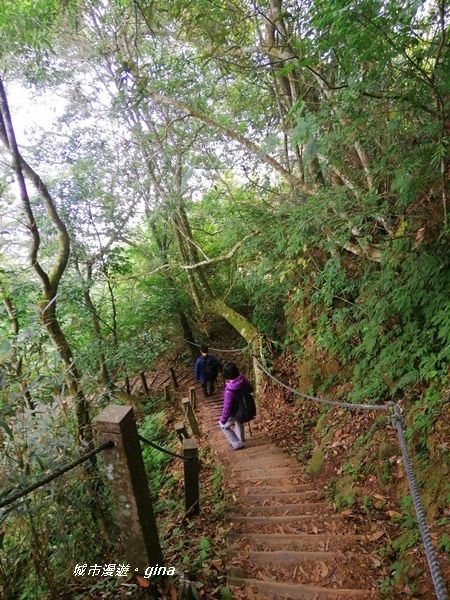 IMG_20200111_143216.jpg IMG_20200111_143216.jpg