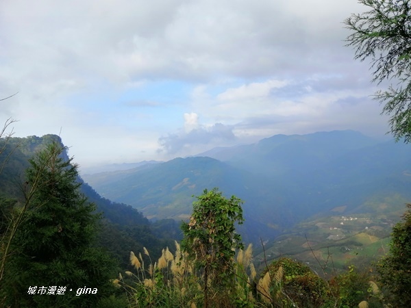 IMG_20200111_155129.jpg IMG_20200111_155129.jpg