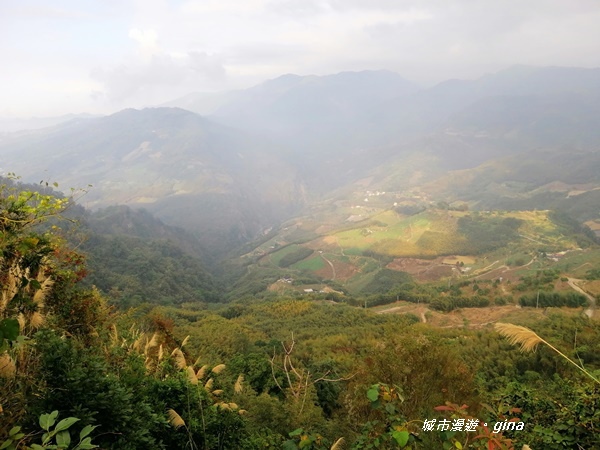 IMG_20200111_155208.jpg IMG_20200111_155208.jpg