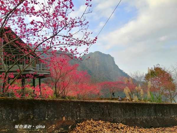 IMG_20200111_161924.jpg IMG_20200111_161924.jpg