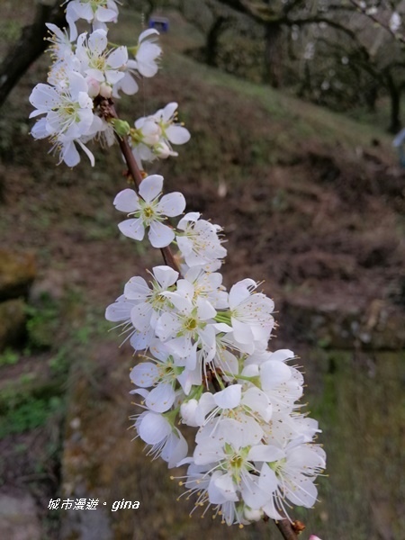 IMG_20200111_170147.jpg IMG_20200111_170147.jpg