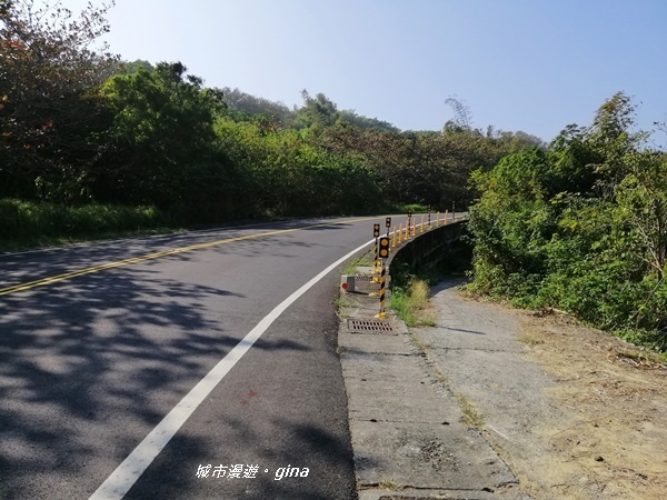 IMG_20200117_103525.jpg IMG_20200117_103525.jpg