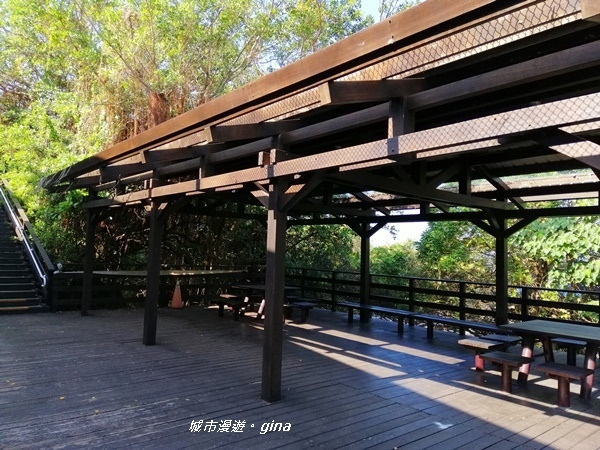 IMG_20200117_103537.jpg IMG_20200117_103537.jpg