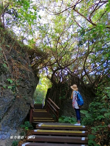 IMG_20200117_103522.jpg IMG_20200117_103522.jpg